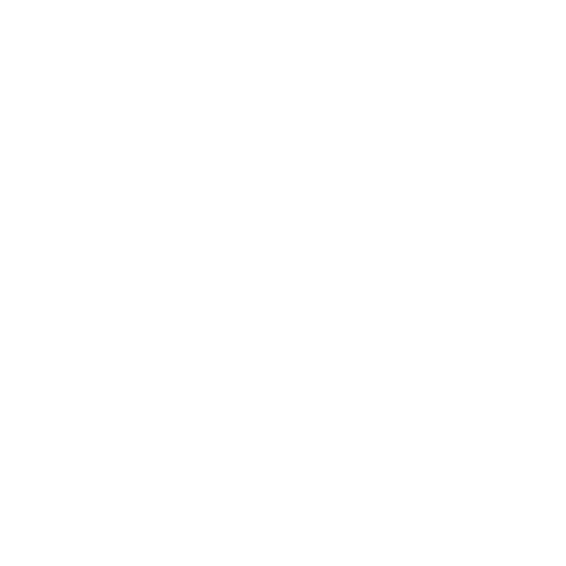 Pet Digital X-Rays